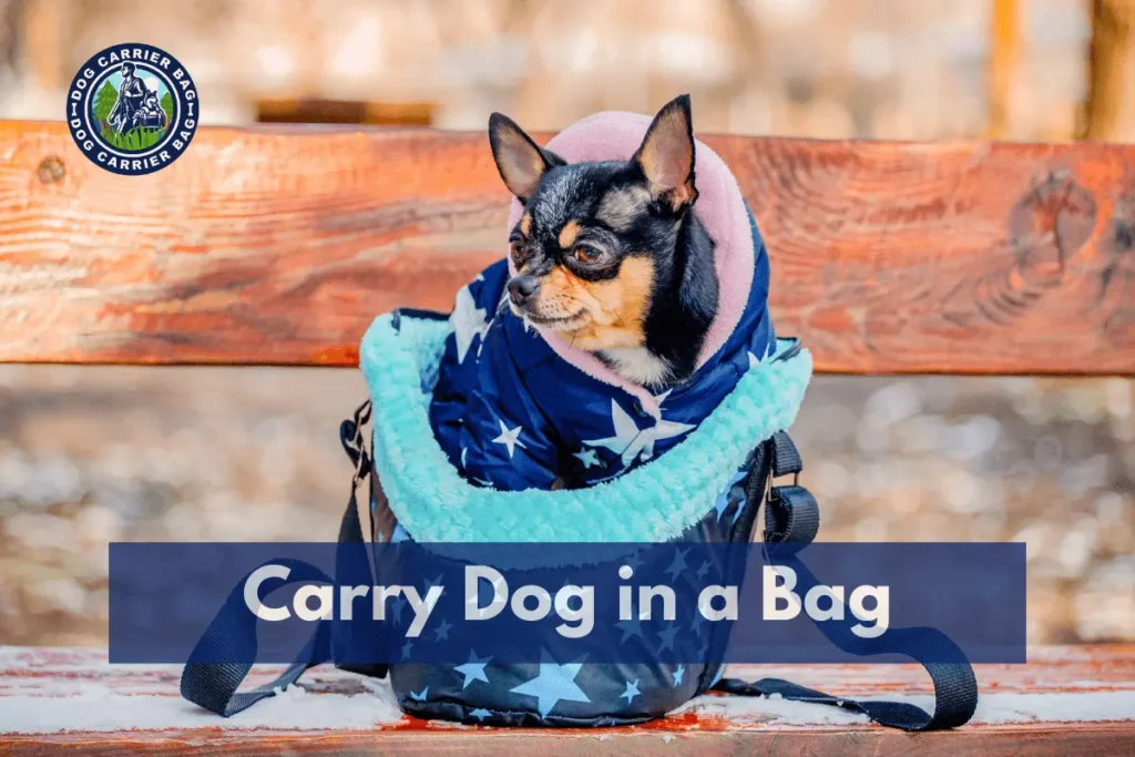 Carry Dog in a Bag